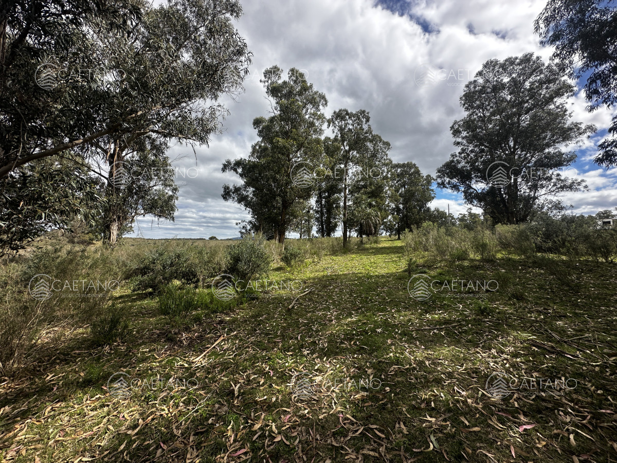 Zona Rural - GoPunta - Portal Inmobiliario de Punta del Este - Maldonado