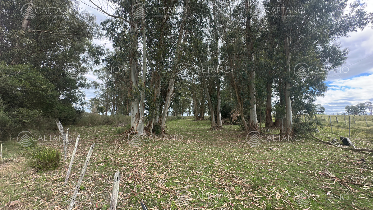 Zona Rural - GoPunta - Portal Inmobiliario de Punta del Este - Maldonado