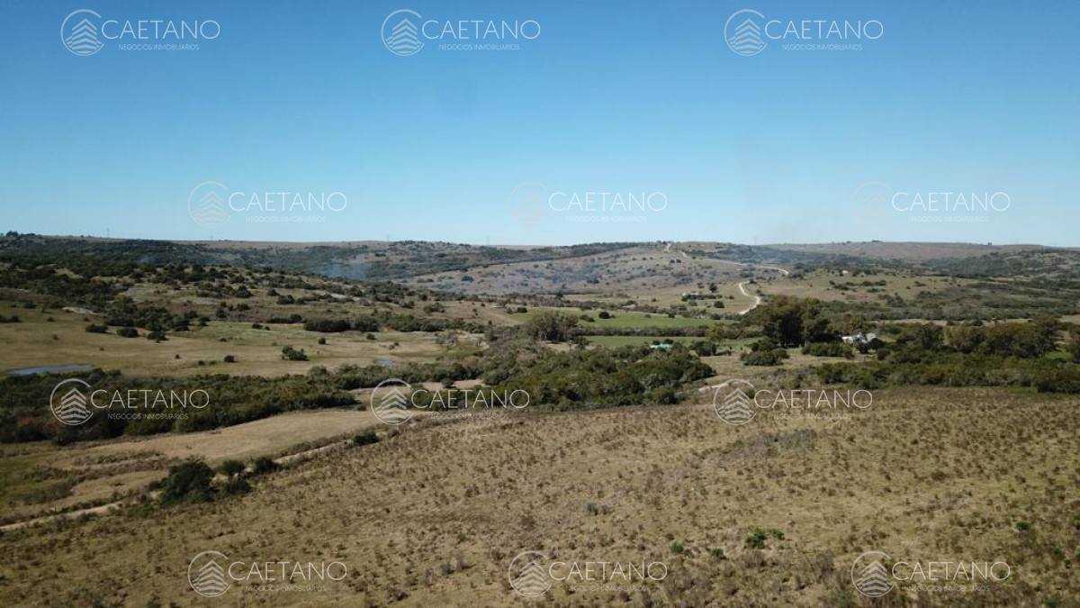 Zona Rural - GoPunta - Portal Inmobiliario de Punta del Este - Maldonado