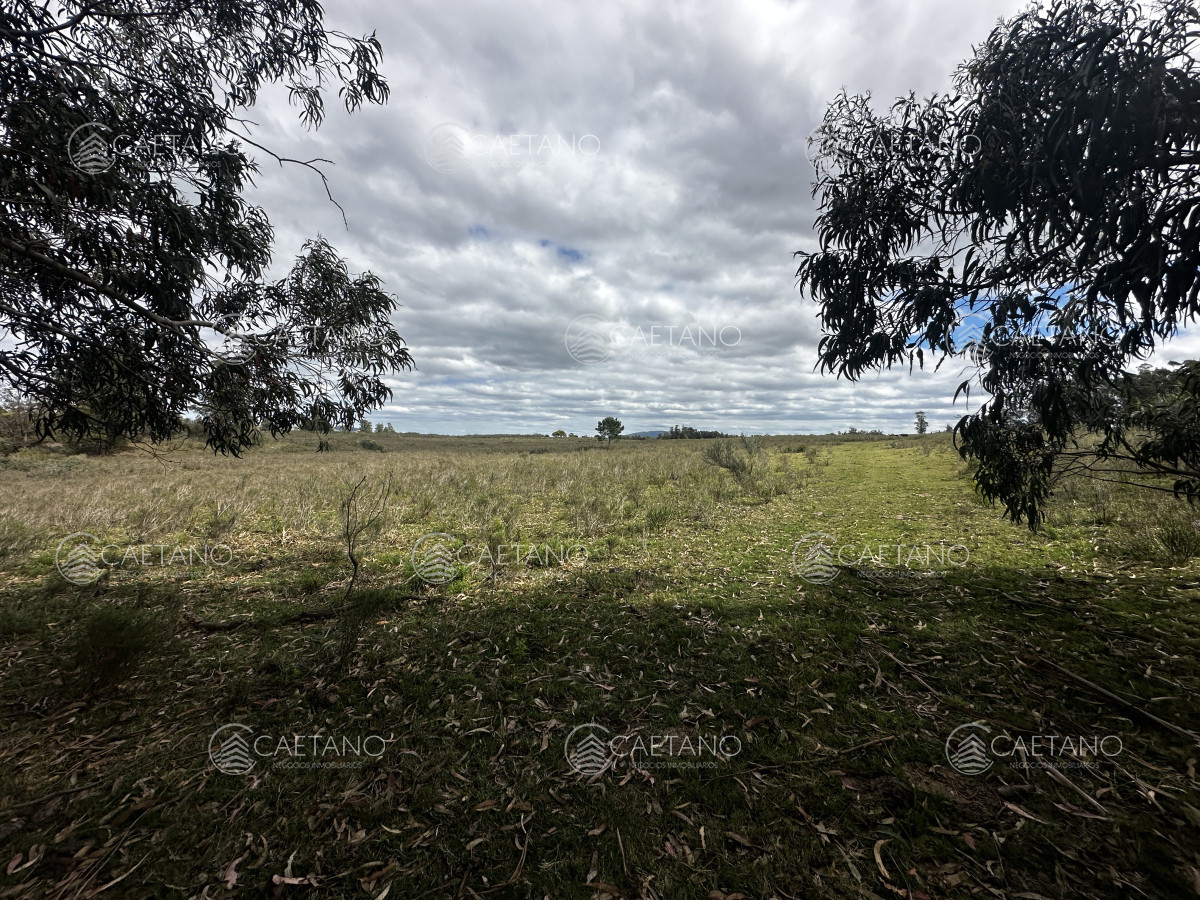 Zona Rural - GoPunta - Portal Inmobiliario de Punta del Este - Maldonado