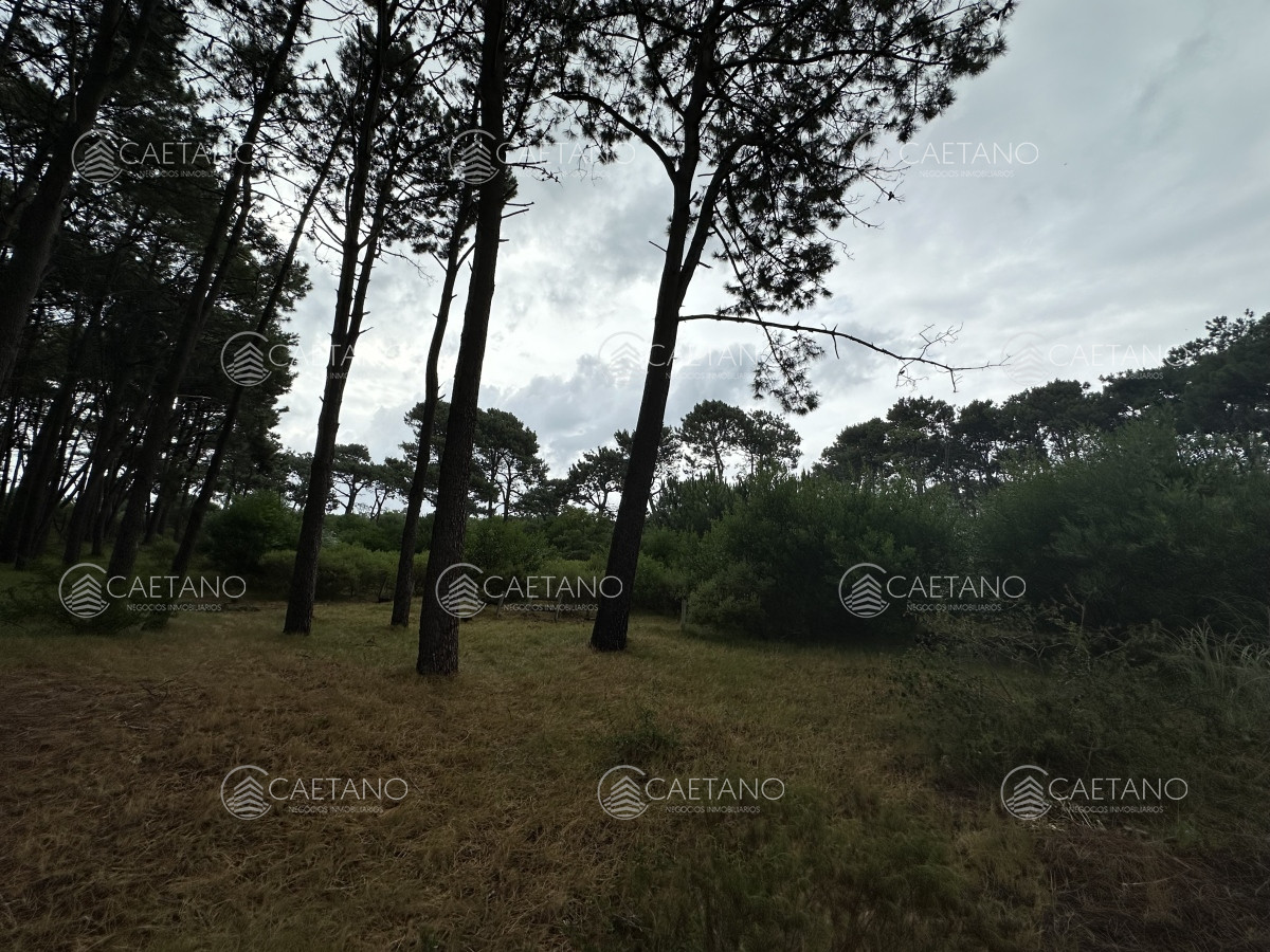 Montoya - GoPunta - Portal Inmobiliario de Punta del Este - Maldonado