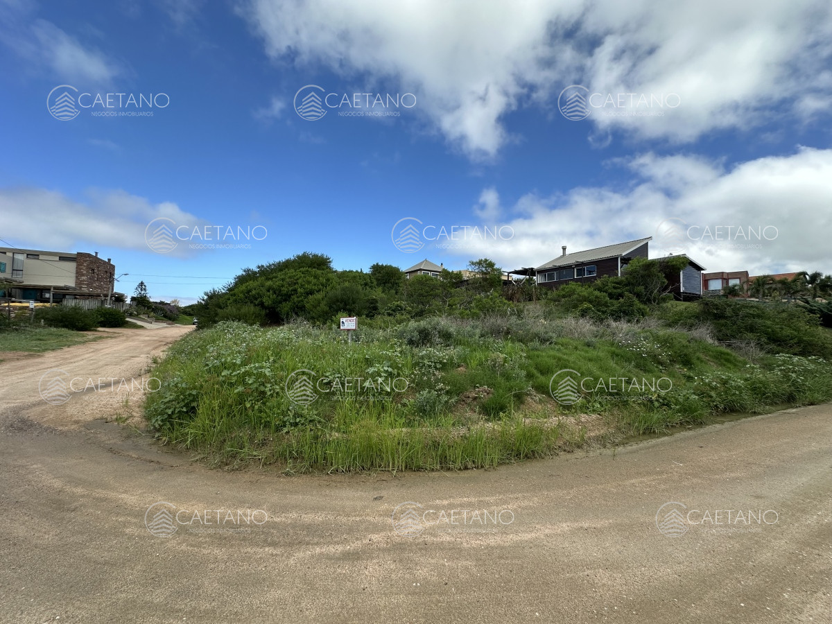 Tio Tom - GoPunta - Portal Inmobiliario de Punta del Este - Maldonado
