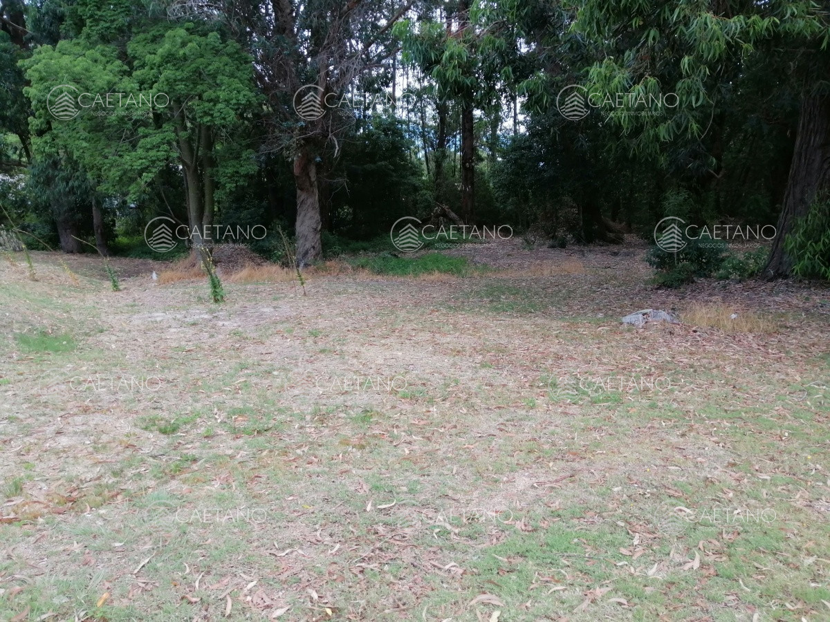 Solanas - GoPunta - Portal Inmobiliario de Punta del Este - Maldonado