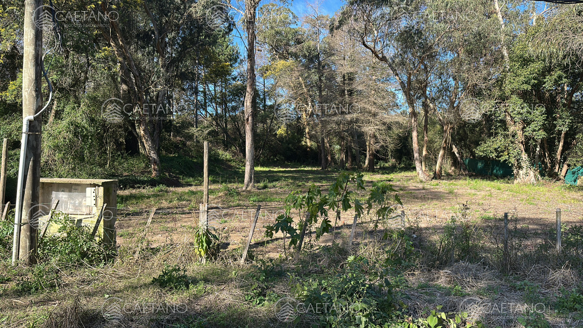 Venta terreno en Rincón del Indio. Punta del Este - GoPunta - Portal Inmobiliario de Punta del Este - Maldonado