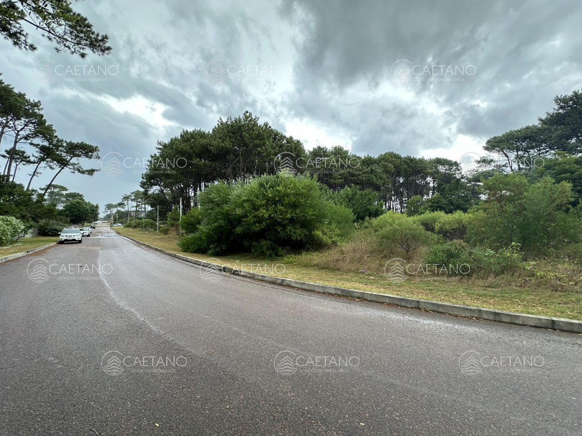 Montoya - GoPunta - Portal Inmobiliario de Punta del Este - Maldonado