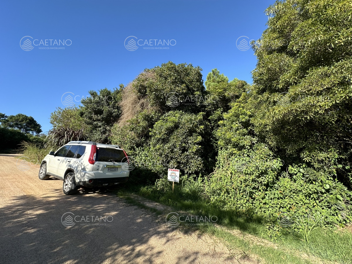 Las Grutas - GoPunta - Portal Inmobiliario de Punta del Este - Maldonado