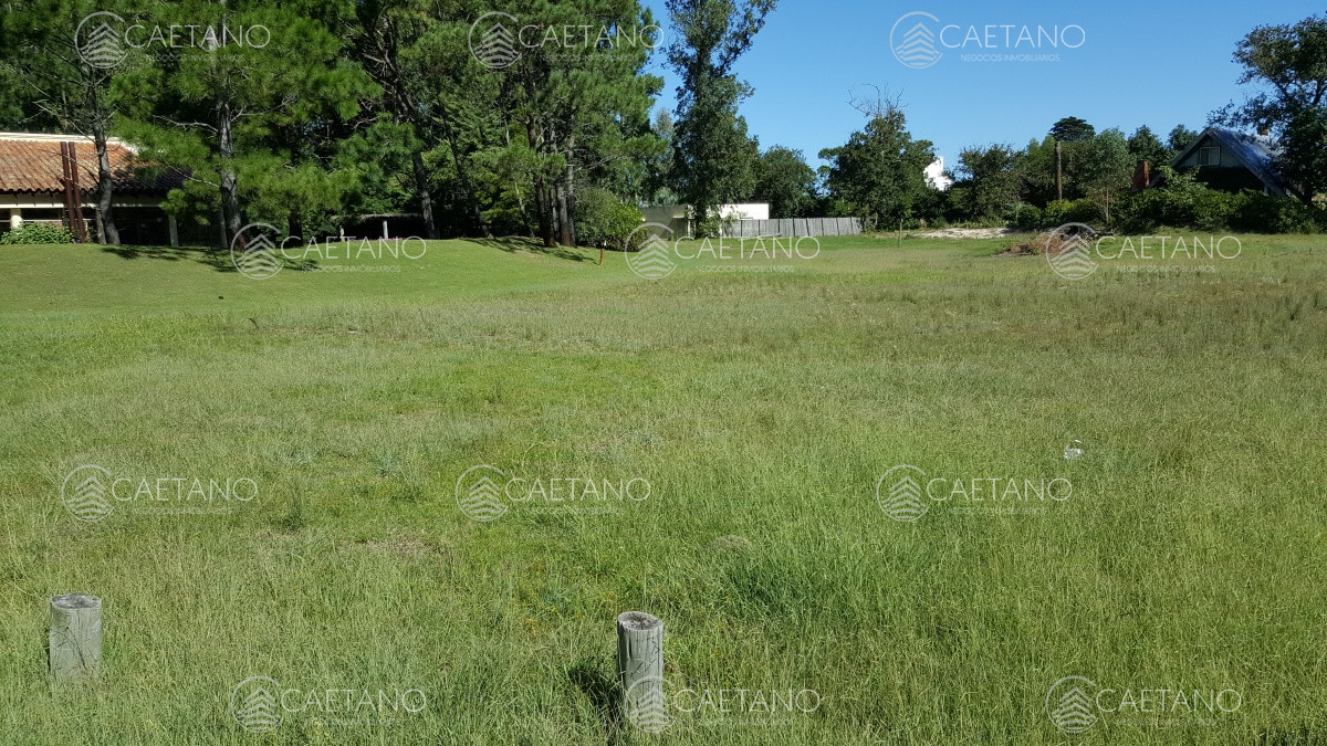 Solanas - GoPunta - Portal Inmobiliario de Punta del Este - Maldonado