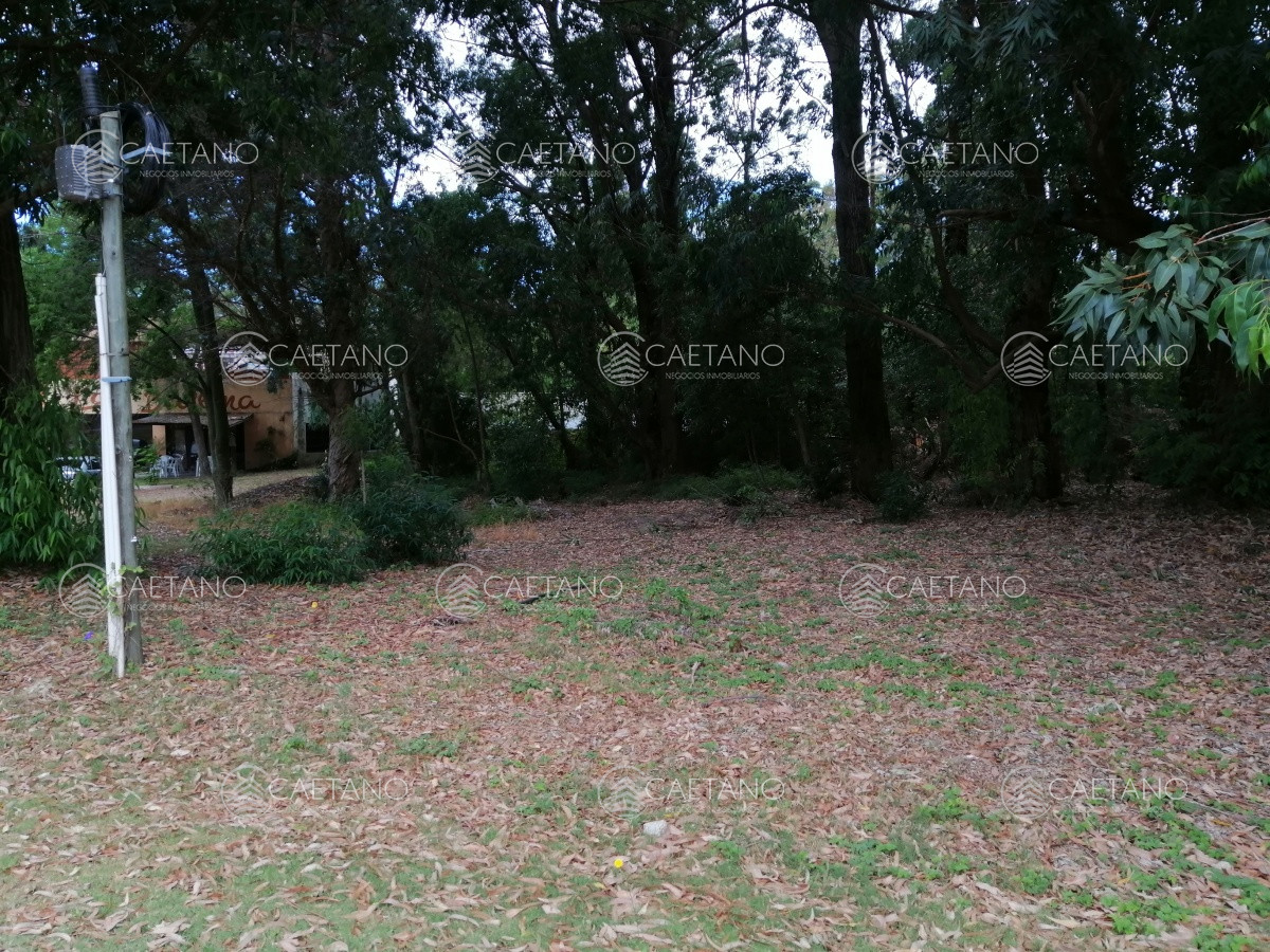 Solanas - GoPunta - Portal Inmobiliario de Punta del Este - Maldonado