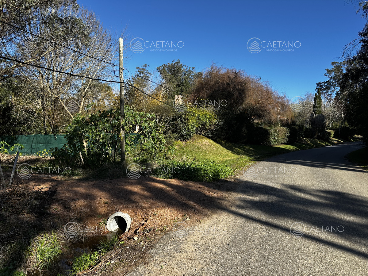 Venta terreno en Rincón del Indio. Punta del Este - GoPunta - Portal Inmobiliario de Punta del Este - Maldonado