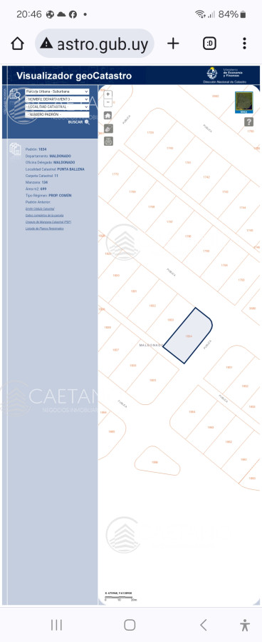 Tio Tom - GoPunta - Portal Inmobiliario de Punta del Este - Maldonado