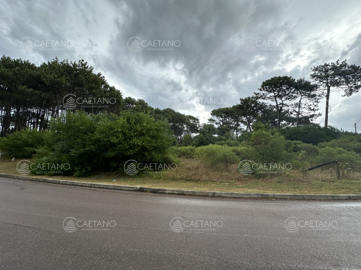 Montoya - GoPunta - Portal Inmobiliario de Punta del Este - Maldonado