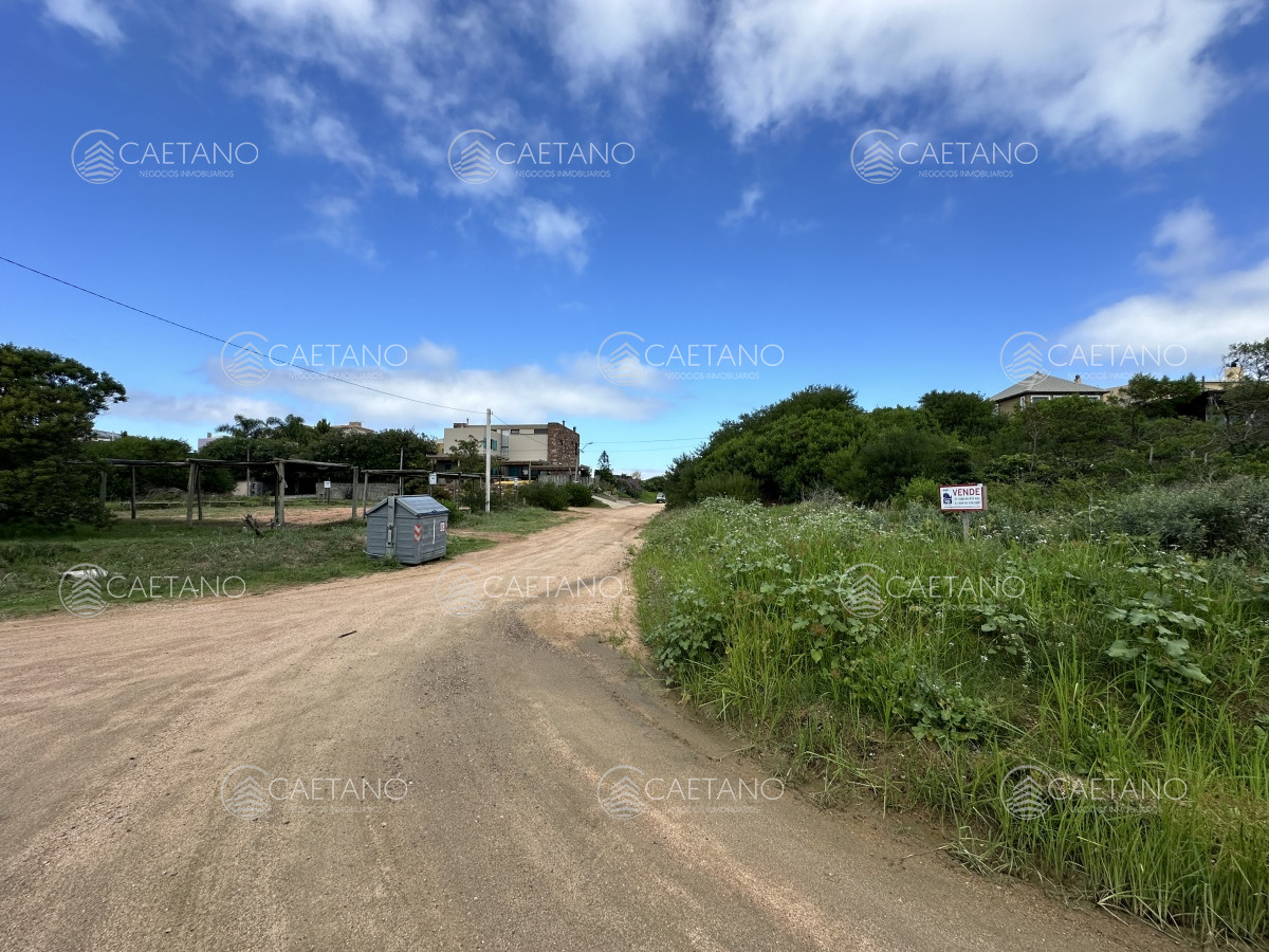 Tio Tom - GoPunta - Portal Inmobiliario de Punta del Este - Maldonado
