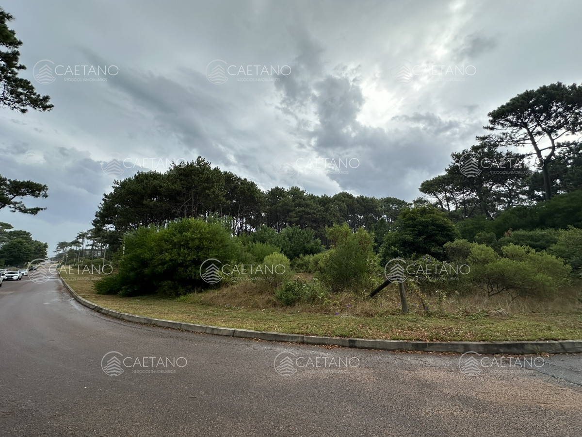Montoya - GoPunta - Portal Inmobiliario de Punta del Este - Maldonado