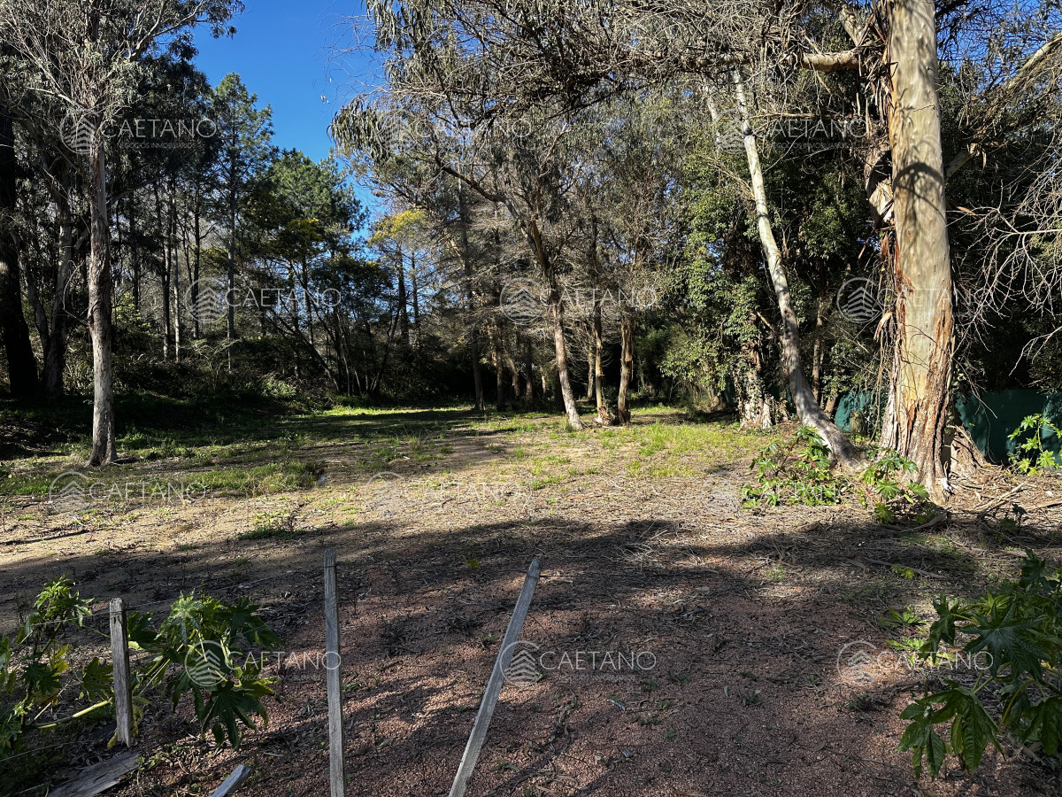 Venta terreno en Rincón del Indio. Punta del Este - GoPunta - Portal Inmobiliario de Punta del Este - Maldonado