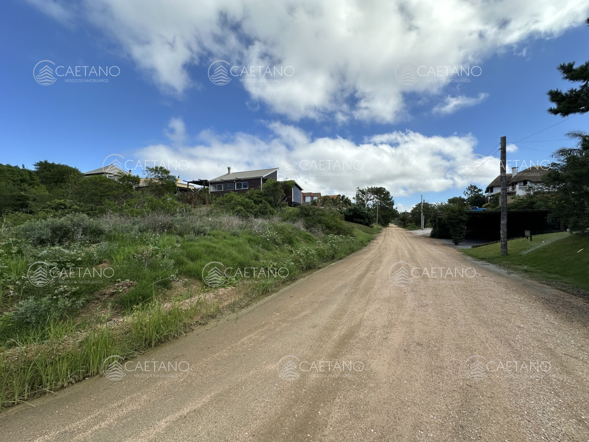 Tio Tom - GoPunta - Portal Inmobiliario de Punta del Este - Maldonado