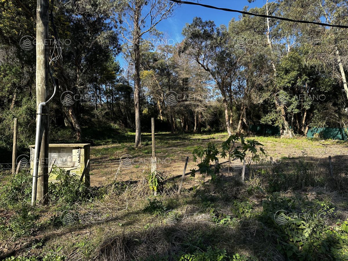 Venta terreno en Rincón del Indio. Punta del Este - GoPunta - Portal Inmobiliario de Punta del Este - Maldonado