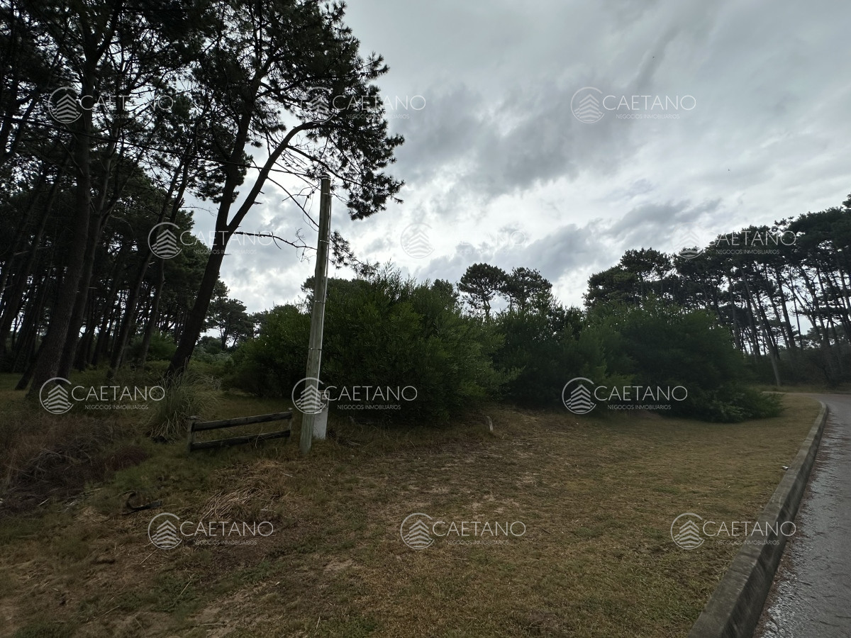 Montoya - GoPunta - Portal Inmobiliario de Punta del Este - Maldonado