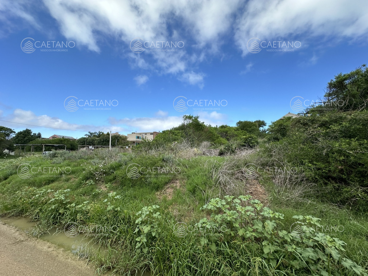 Tio Tom - GoPunta - Portal Inmobiliario de Punta del Este - Maldonado