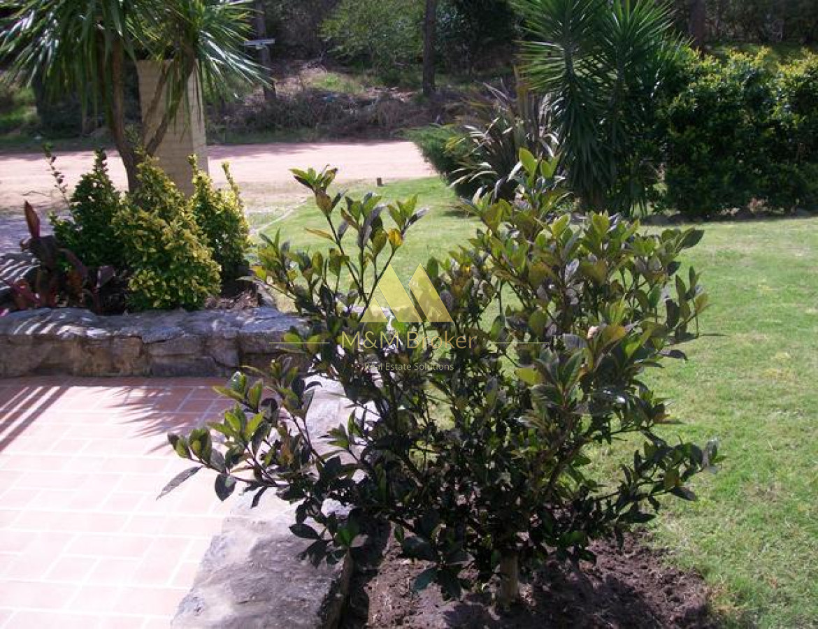 Tio Tom - GoPunta - Portal Inmobiliario de Punta del Este - Maldonado