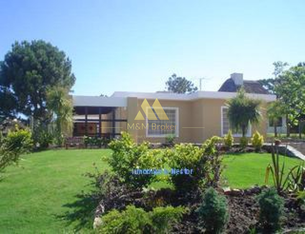Tio Tom - GoPunta - Portal Inmobiliario de Punta del Este - Maldonado
