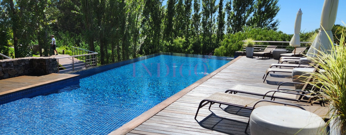 Lomo de la Ballena - GoPunta - Portal Inmobiliario de Punta del Este - Maldonado