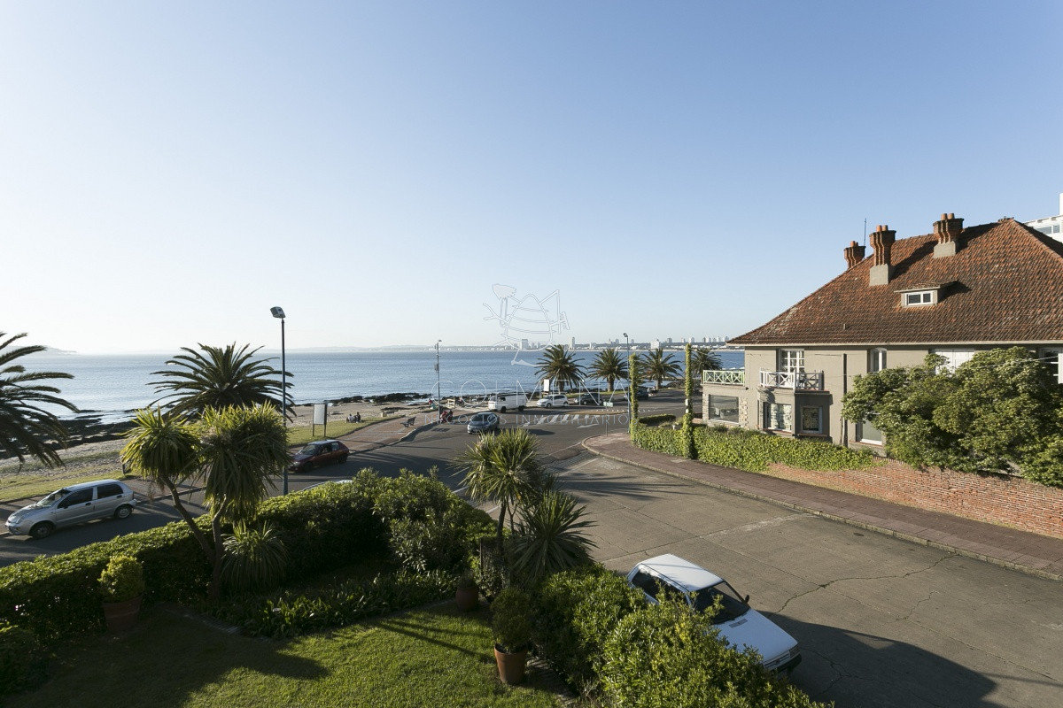 Puerto - GoPunta - Portal Inmobiliario de Punta del Este - Maldonado