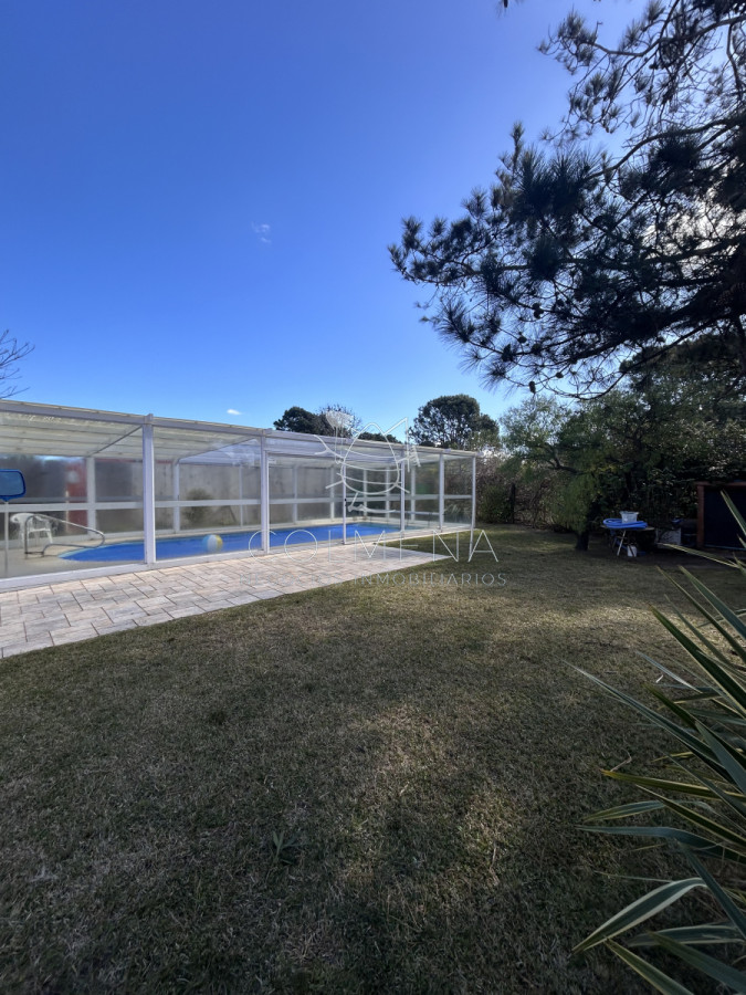 Tio Tom - GoPunta - Portal Inmobiliario de Punta del Este - Maldonado