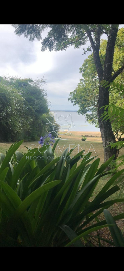 Laguna del Sauce - GoPunta - Portal Inmobiliario de Punta del Este - Maldonado