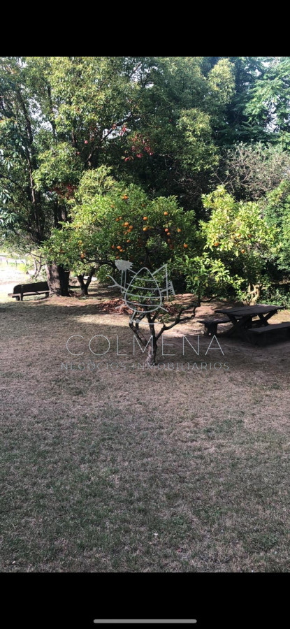 Laguna del Sauce - GoPunta - Portal Inmobiliario de Punta del Este - Maldonado