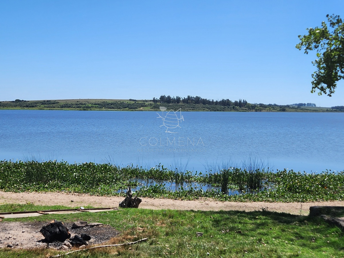 Laguna del Sauce - GoPunta - Portal Inmobiliario de Punta del Este - Maldonado