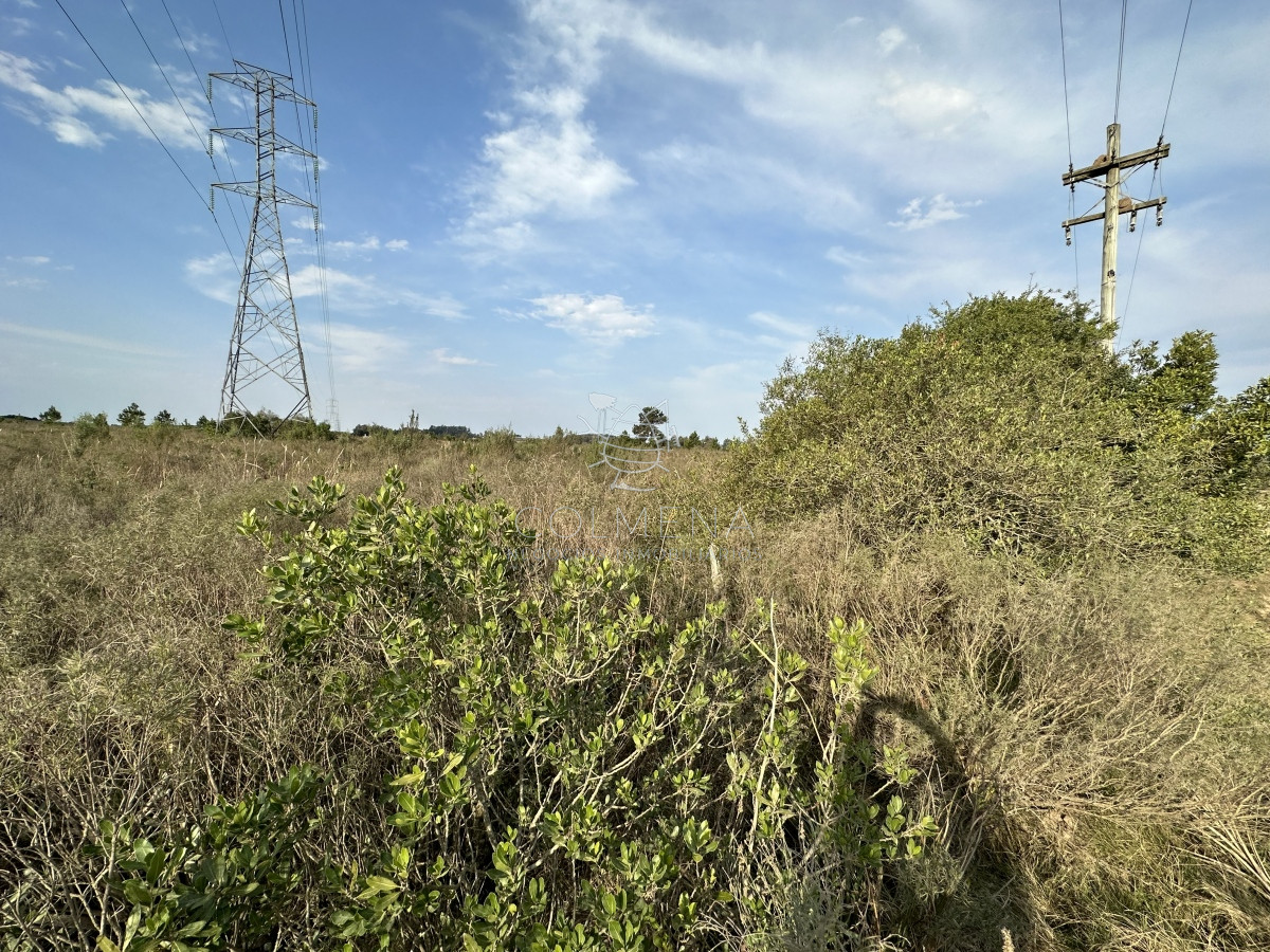 Venta chacra Maldonado - GoPunta - Portal Inmobiliario de Punta del Este - Maldonado