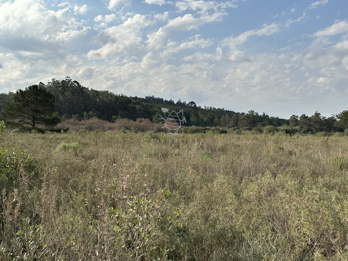 Venta chacra Maldonado - GoPunta - Portal Inmobiliario de Punta del Este - Maldonado