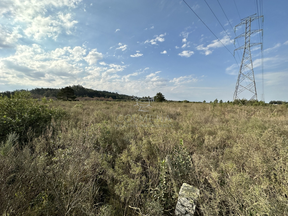 Venta chacra Maldonado - GoPunta - Portal Inmobiliario de Punta del Este - Maldonado