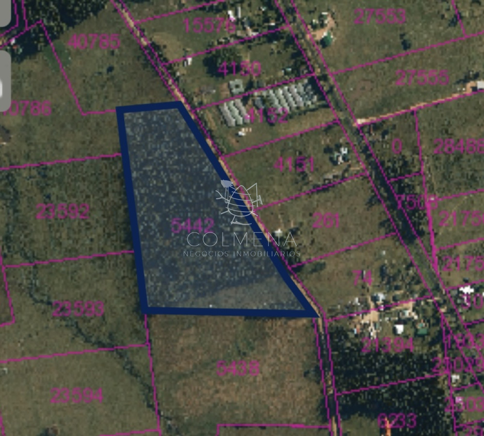 Camino de los Ceibos - GoPunta - Portal Inmobiliario de Punta del Este - Maldonado