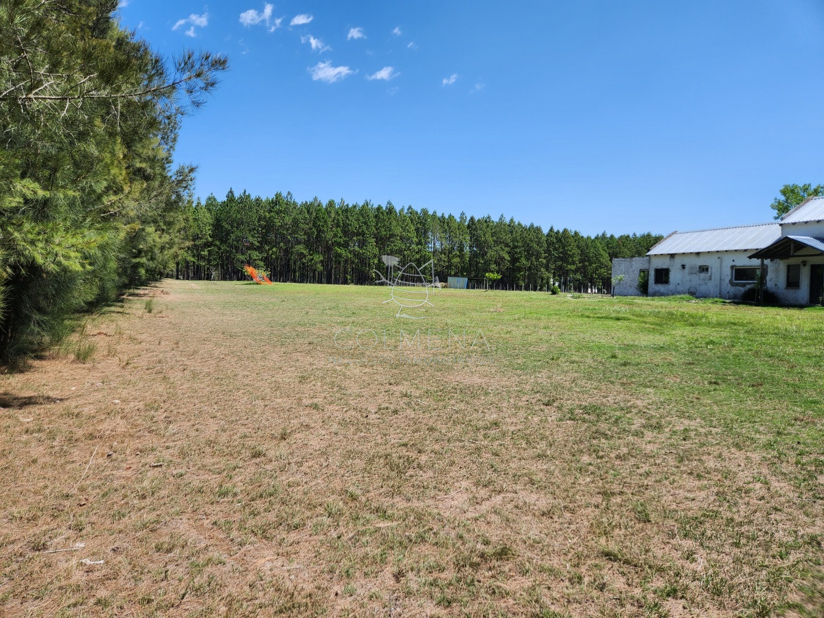 Zona Rural - GoPunta - Portal Inmobiliario de Punta del Este - Maldonado