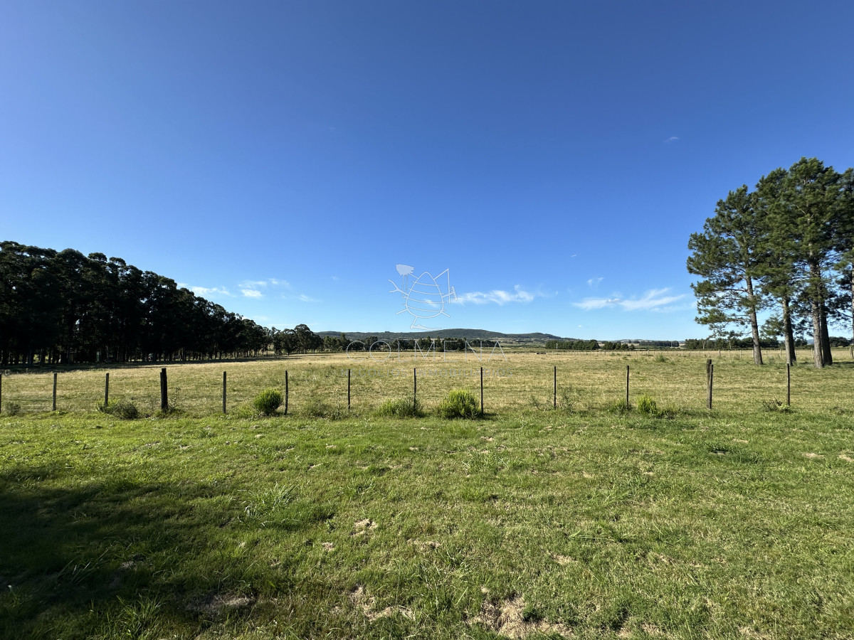 Zona Rural - GoPunta - Portal Inmobiliario de Punta del Este - Maldonado