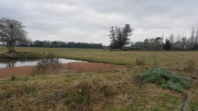 Venta chacra en la pataia 