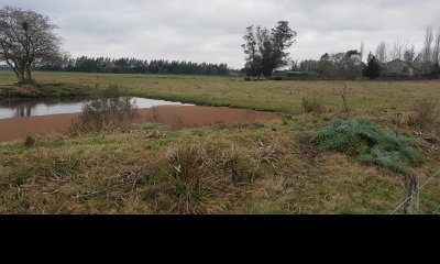 Venta chacra en la pataia