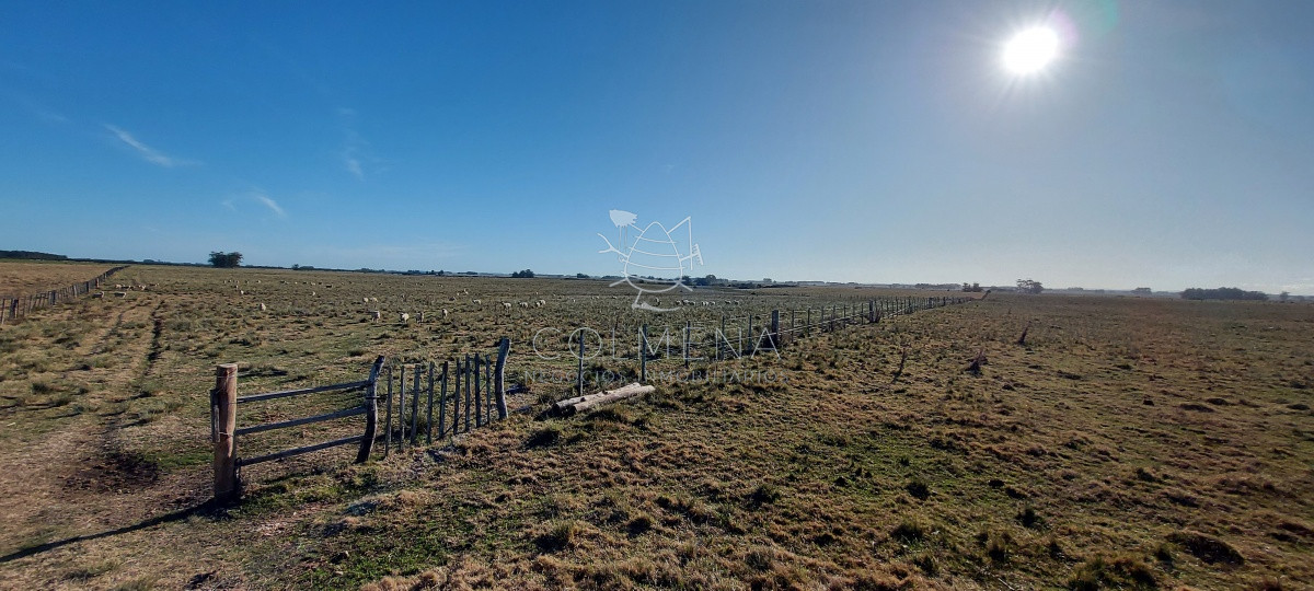Venta campo ideal para fraccionar en chacras codigo 6003 - GoPunta - Portal Inmobiliario de Punta del Este - Maldonado