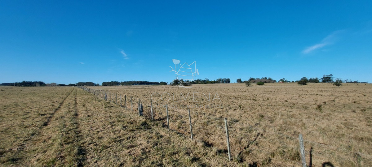 Venta campo ideal para fraccionar en chacras codigo 6003 - GoPunta - Portal Inmobiliario de Punta del Este - Maldonado