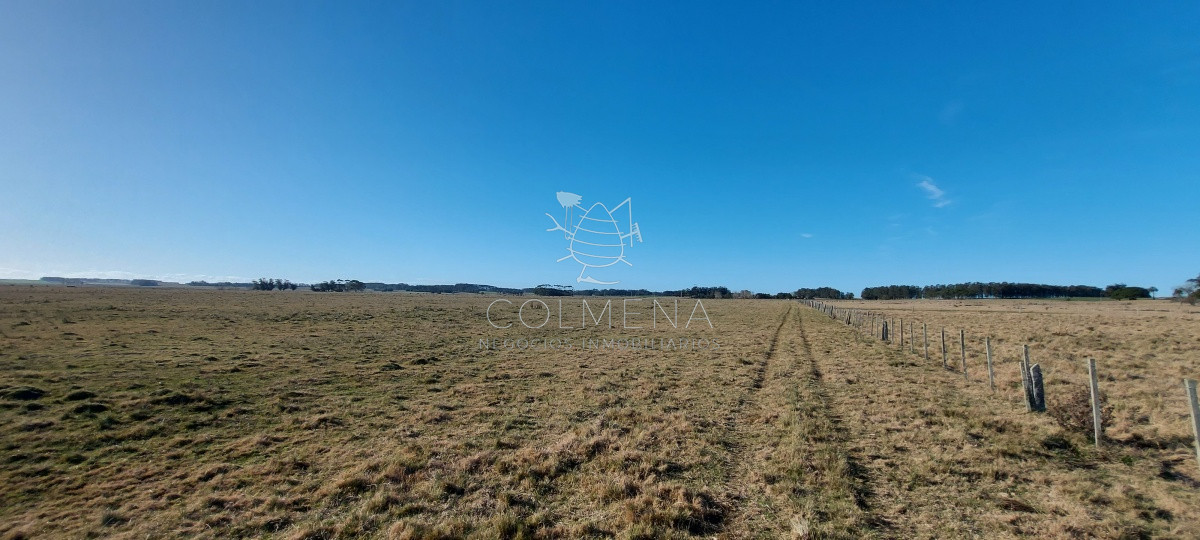 Venta campo ideal para fraccionar en chacras codigo 6003 - GoPunta - Portal Inmobiliario de Punta del Este - Maldonado