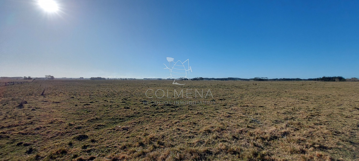 Venta campo ideal para fraccionar en chacras codigo 6003 - GoPunta - Portal Inmobiliario de Punta del Este - Maldonado