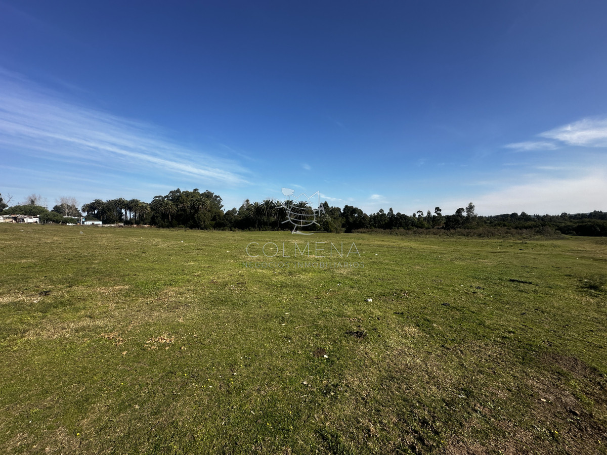 Lavagna - GoPunta - Portal Inmobiliario de Punta del Este - Maldonado