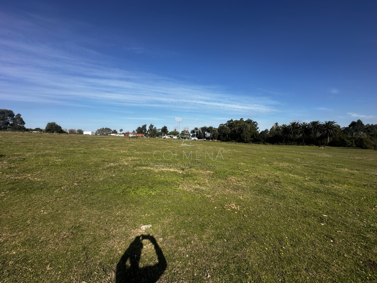 Lavagna - GoPunta - Portal Inmobiliario de Punta del Este - Maldonado