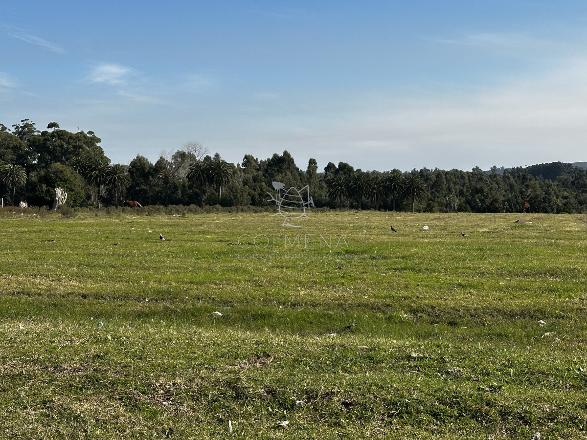 Lavagna - GoPunta - Portal Inmobiliario de Punta del Este - Maldonado