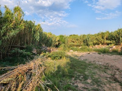 Terreno en punta ballena - Las grutas