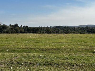 Venta lote para fraccionamiento, San Carlos 