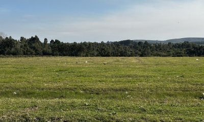 Venta lote para fraccionamiento, San Carlos