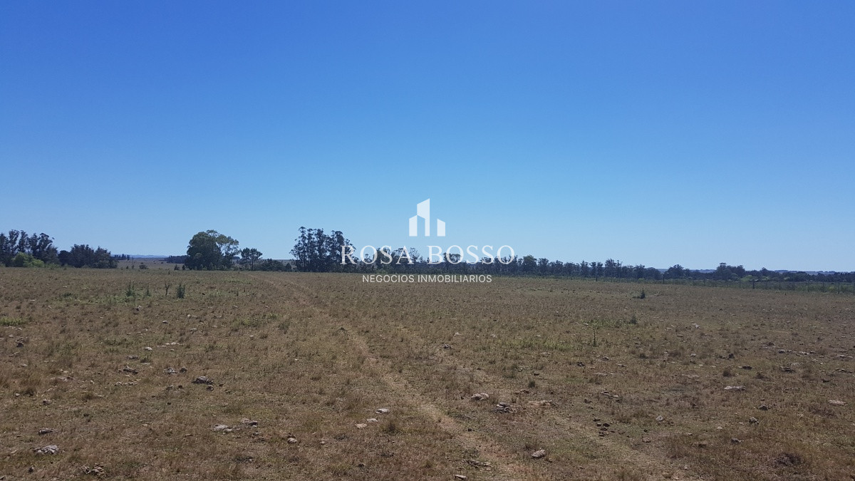 Chacra, Venta, José Ignacio, 10 hectareas - GoPunta - Portal Inmobiliario de Punta del Este - Maldonado