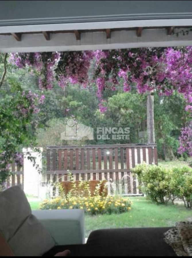 Pinares - GoPunta - Portal Inmobiliario de Punta del Este - Maldonado